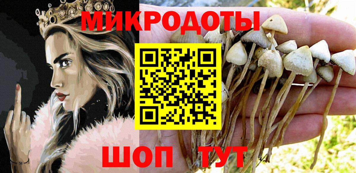 Псилоцибиновые грибы мицелий Златоуст
