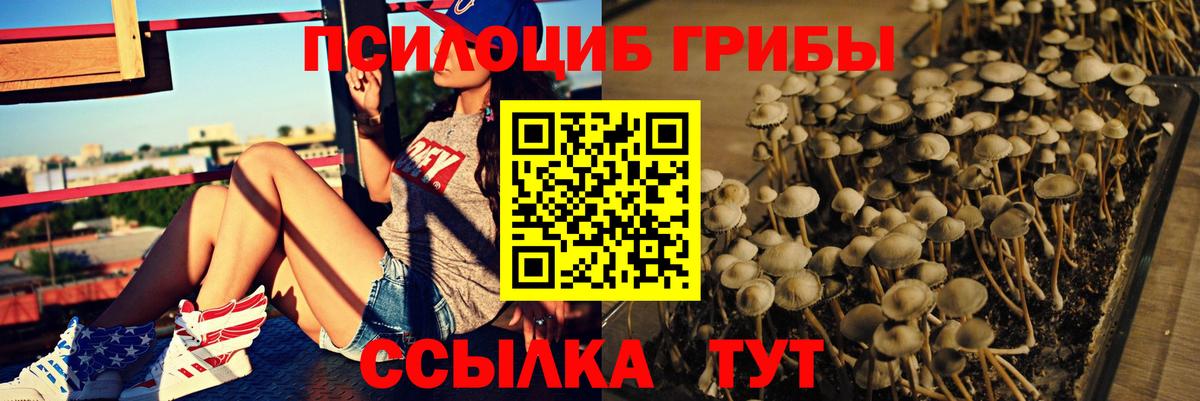 Златоуст  Галлюциногенные грибы мицелий  Галлюциногенные грибы GOLDEN TEACHER  Вход с VPN 